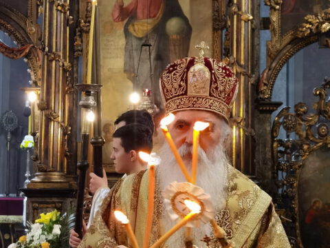 IMG_20230212_090322_resize