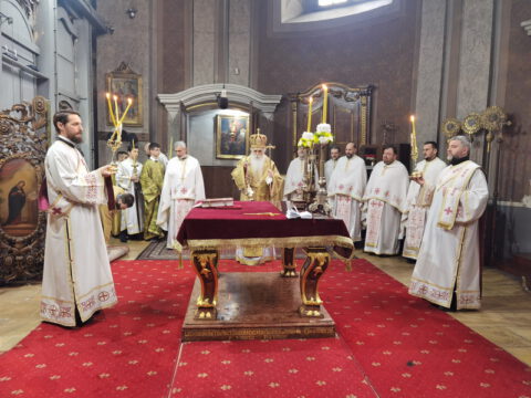 IMG_20230212_090438_resize