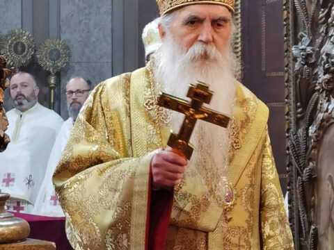 IMG_20230212_091118_resize