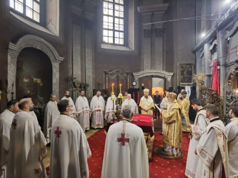 IMG_20230212_091421_resize