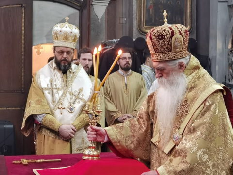 IMG_20230212_091720_resize