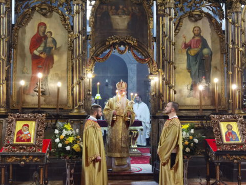 IMG_20230212_091835_resize