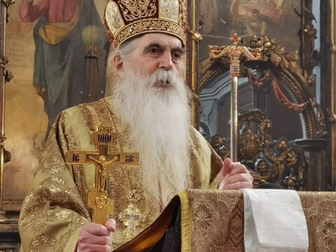 IMG_20230212_093644_resize