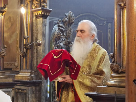 IMG_20230212_101133_resize