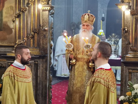 IMG_20230212_102209_resize