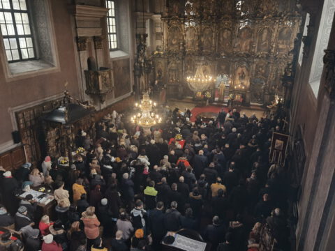 IMG_20230212_102555_resize