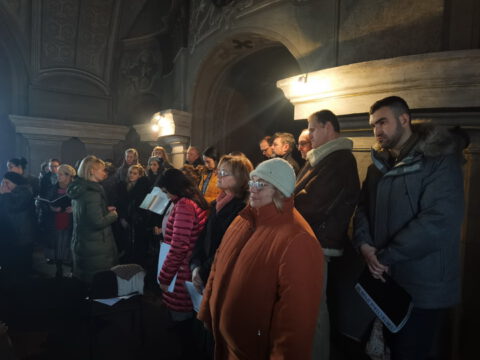 IMG_20230212_103205_resize