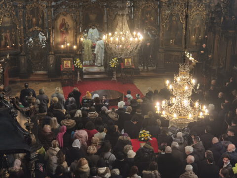 IMG_20230212_103251_resize