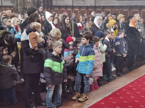 IMG_20230212_105323_resize