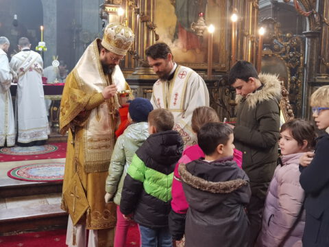 IMG_20230212_110046_resize