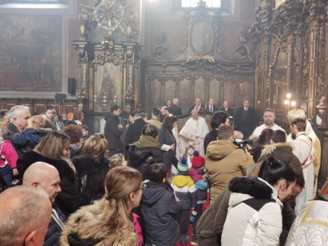 IMG_20230212_110224_resize