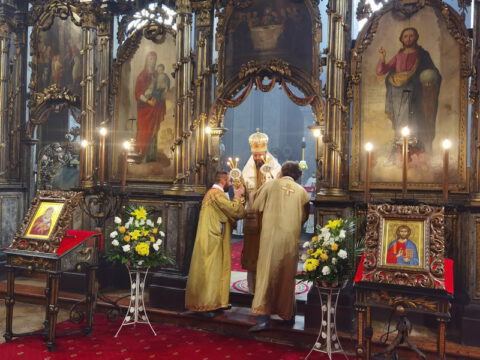 IMG_20230212_111238_resize