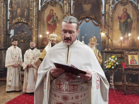 IMG_20230212_111645_resize