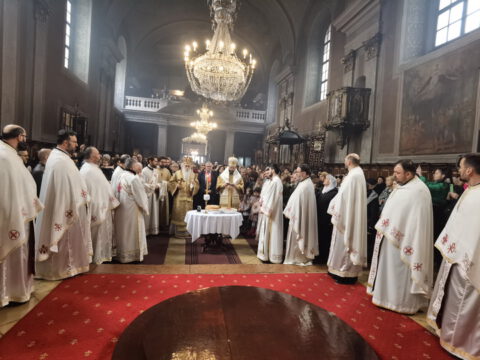 IMG_20230212_111943_resize