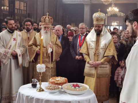 IMG_20230212_112102_resize