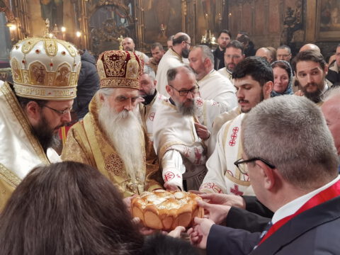 IMG_20230212_112412_resize