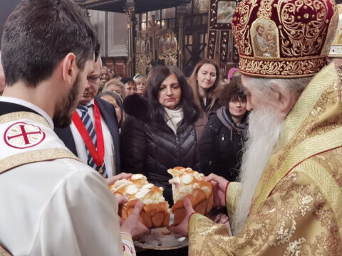 IMG_20230212_112429_resize