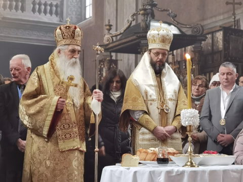 IMG_20230212_112759_resize