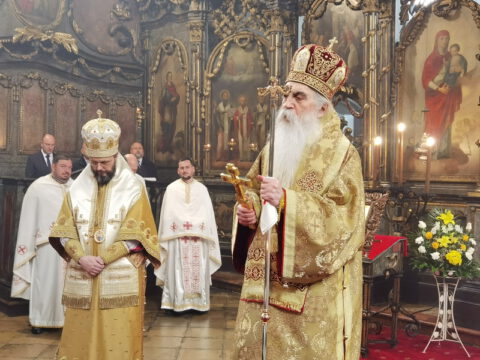 IMG_20230212_113055_resize