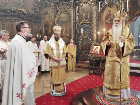 IMG_20230212_113252_resize