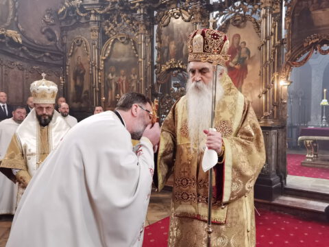 IMG_20230212_113311_resize