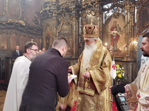 IMG_20230212_113329_resize