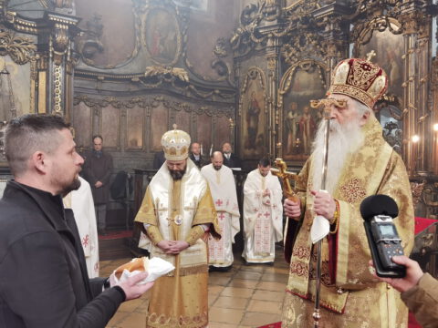 IMG_20230212_113344_resize