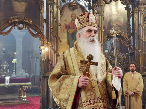 IMG_20230212_113423_resize