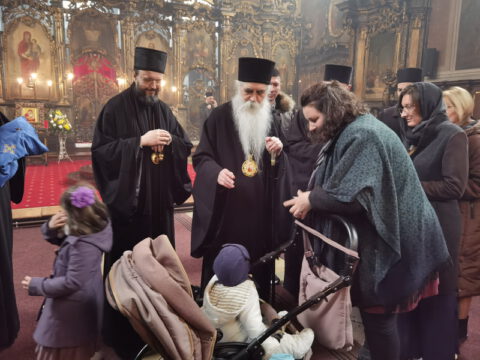 IMG_20230212_115259_resize