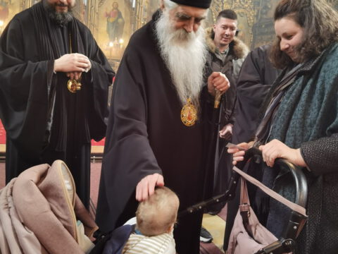 IMG_20230212_115302_resize