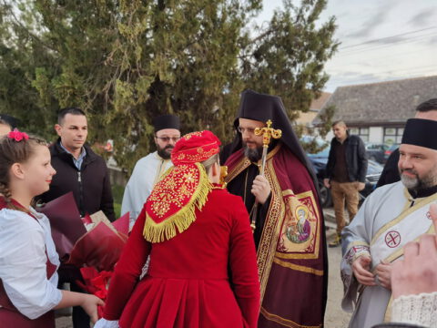 IMG_20230212_170248_resize