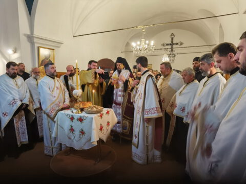 IMG_20230212_173207_resize