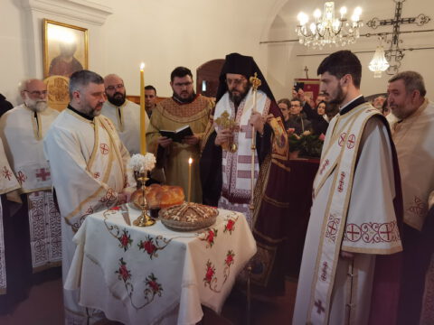 IMG_20230212_173252_resize