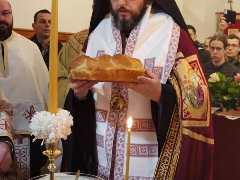 IMG_20230212_173306_resize