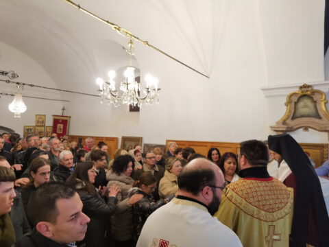 IMG_20230212_173502_resize