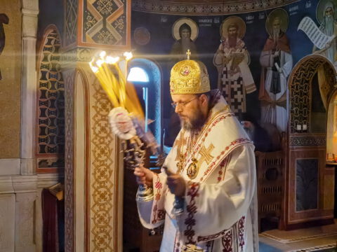 IMG_20230214_065455_resize