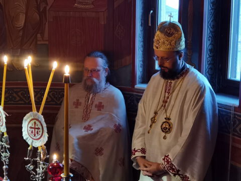 IMG_20230214_070556_resize