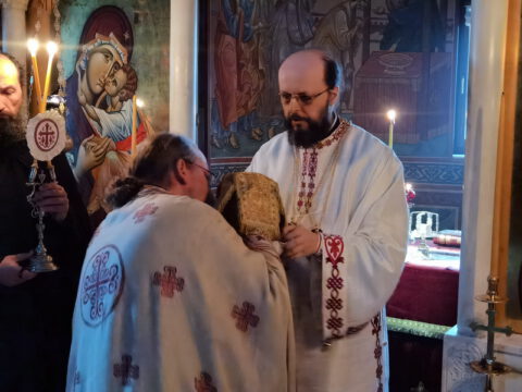 IMG_20230214_072908_resize