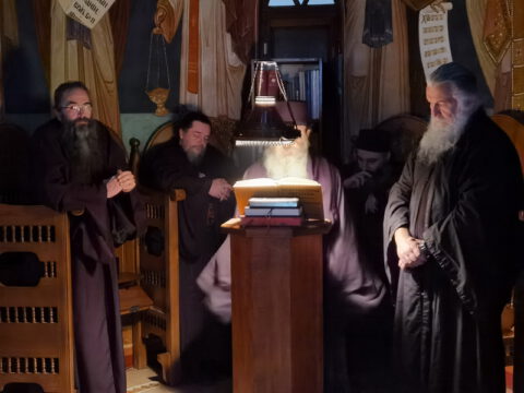 IMG_20230214_073055_resize