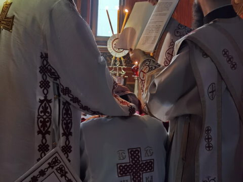 IMG_20230214_074627_resize