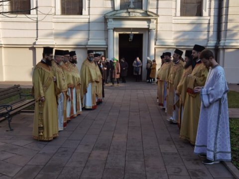 IMG_20230215_084748_resize