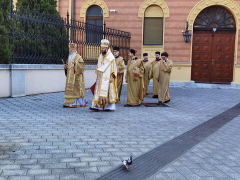 IMG_20230215_085536_resize