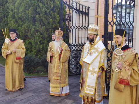 IMG_20230215_085607_resize