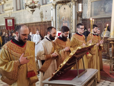 IMG_20230215_091226_resize