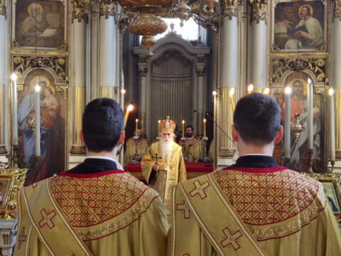 IMG_20230215_092424_resize