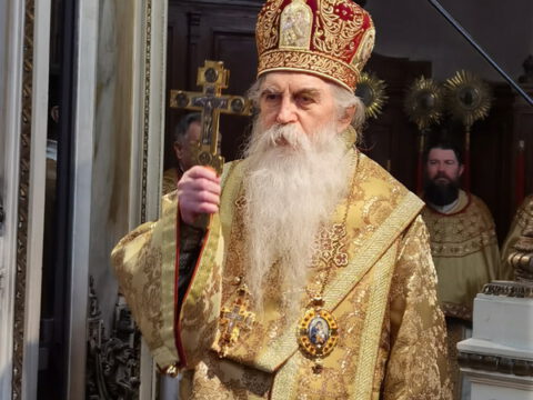 IMG_20230215_092442_resize