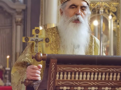 IMG_20230215_094329_resize