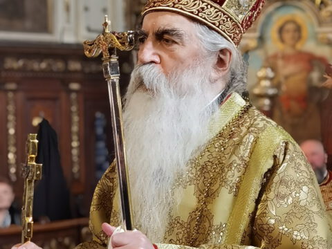 IMG_20230215_094807_resize