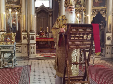 IMG_20230215_095527_resize