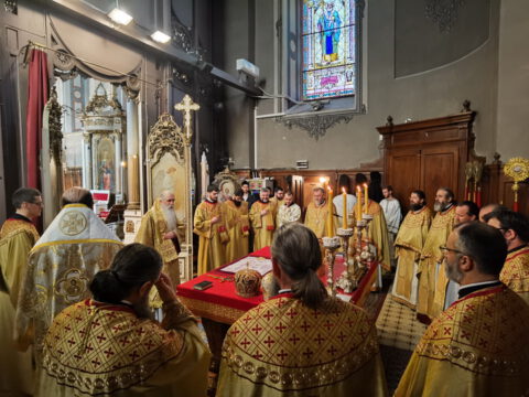 IMG_20230215_100817_resize